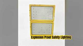Explosion Proof LED Floodlights Safe Lighting